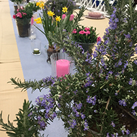 30 anni Constamp forli organizzazione evento aziendale