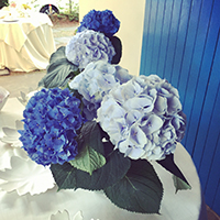 Matrimonio Marina Romea