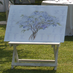 matrimonio americano