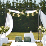 matrimonio americano