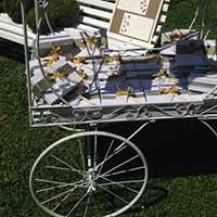 Organizzazione Matrimonio Ladino