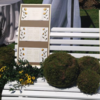 Organizzazione Matrimonio Ladino