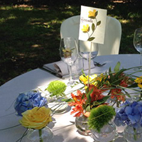 Organizzazione Matrimonio Ladino