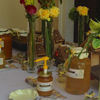Organizzazione Matrimonio Ladino