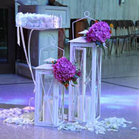 Matrimonio Cesena Celincordia