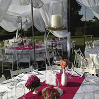 Matrimonio Cesena Celincordia