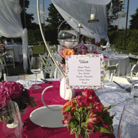 Matrimonio Cesena Celincordia
