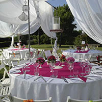 Matrimonio Cesena Celincordia