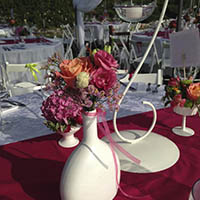 Matrimonio Cesena Celincordia
