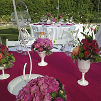 Matrimonio Cesena Celincordia