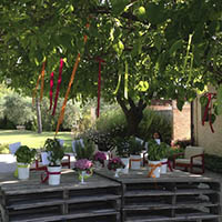 Matrimonio Cesena Celincordia