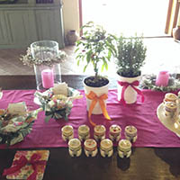 Matrimonio Cesena Celincordia
