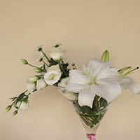 Matrimonio Predappio Forli Conde