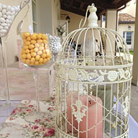 Matrimonio Predappio Forli Conde