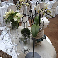 Matrimonio invernale Bagnara