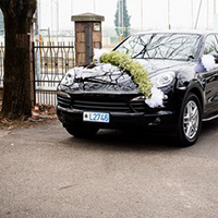 Matrimonio Invernale