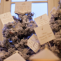 Matrimonio Invernale