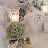 Matrimonio Invernale