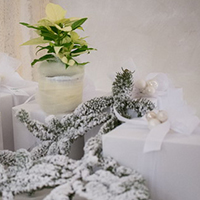 Matrimonio Invernale