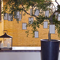Matrimonio Bologna