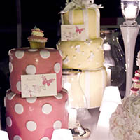 Matrimonio Bologna