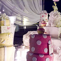 Matrimonio Bologna