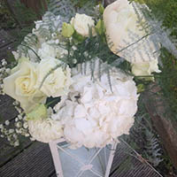 Matrimonio primaverile Bagnara