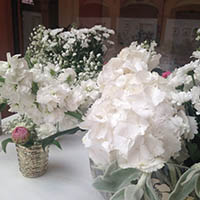 Matrimonio primaverile Bagnara