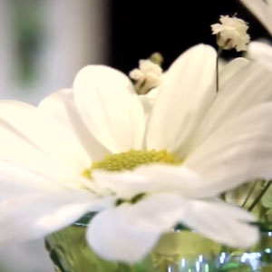 Forli Si Sposa